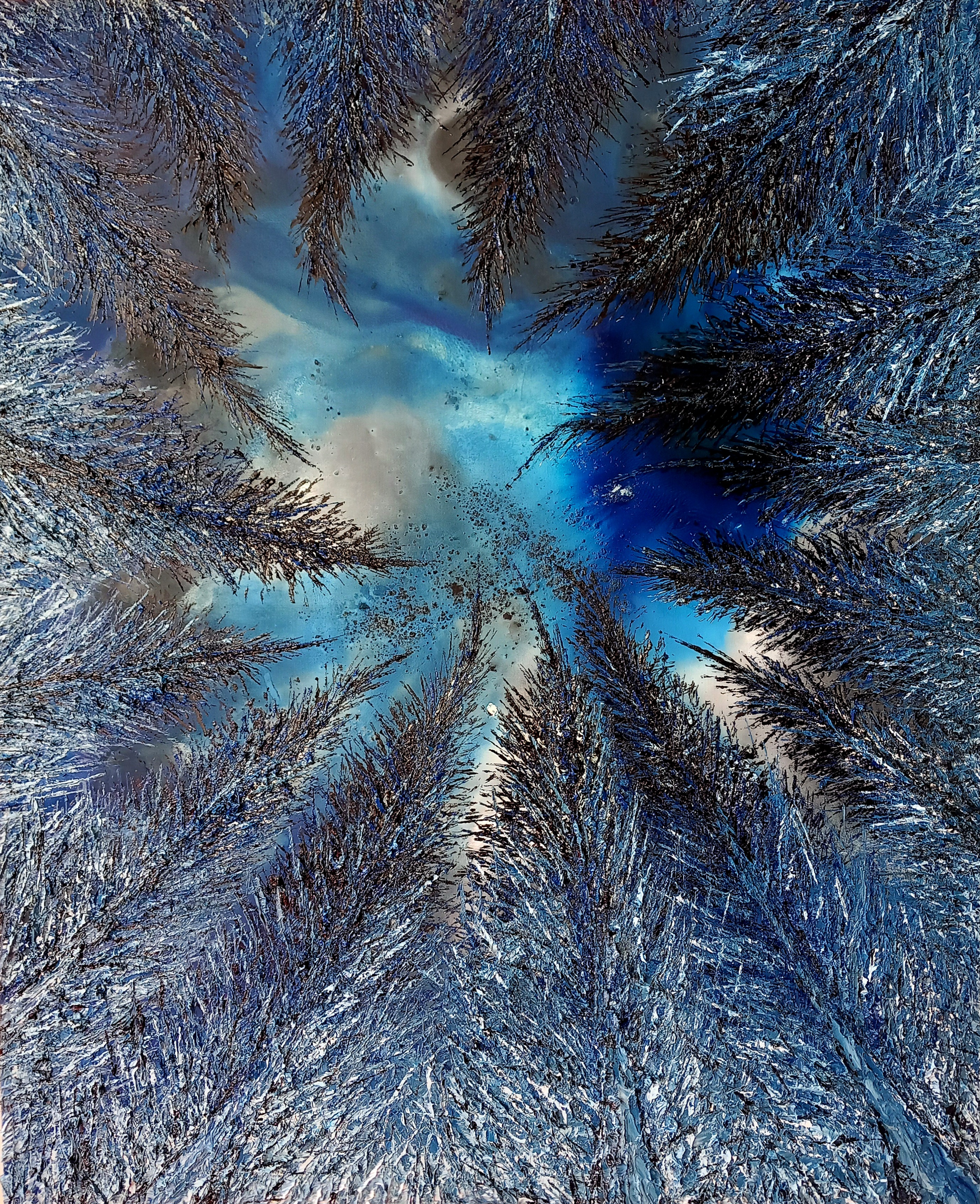 Canopée