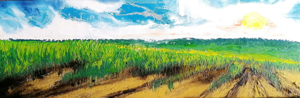 Vignes